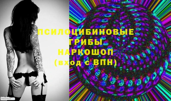 спайс Баксан