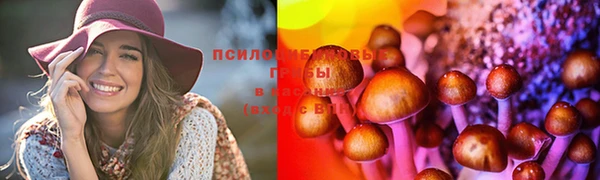 спайс Баксан