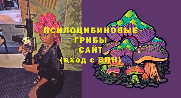стаф Балахна