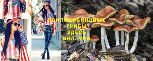 стаф Балахна