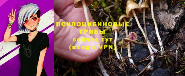 спайс Баксан